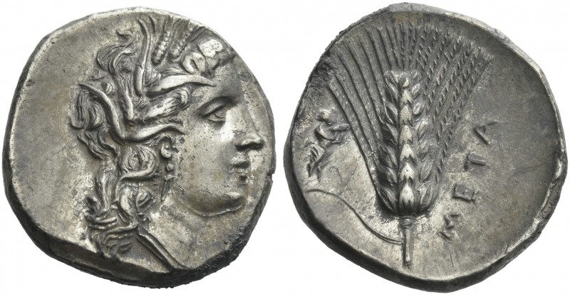 Lucania, Metapontum.
Nomos circa 290-280, AR 22 mm, 7.98 g. Wreathed head of De...