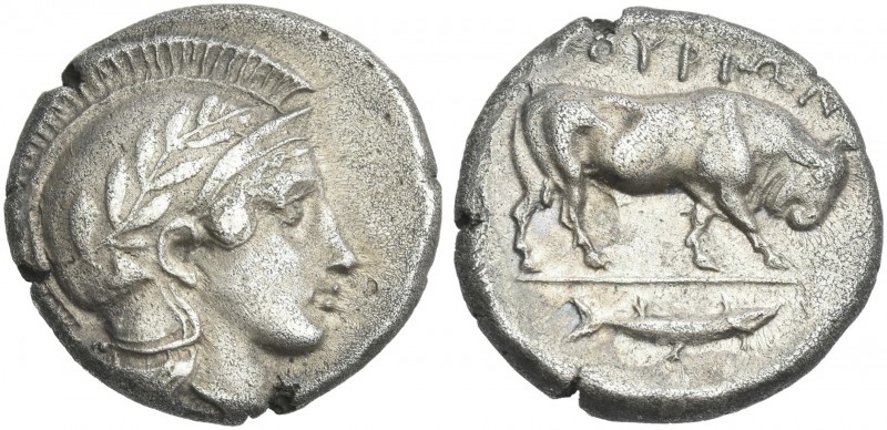Lucania, Thurium.
Nomos circa 443-400, AR 21 mm, 7.88 g. Head of Athena r., wea...
