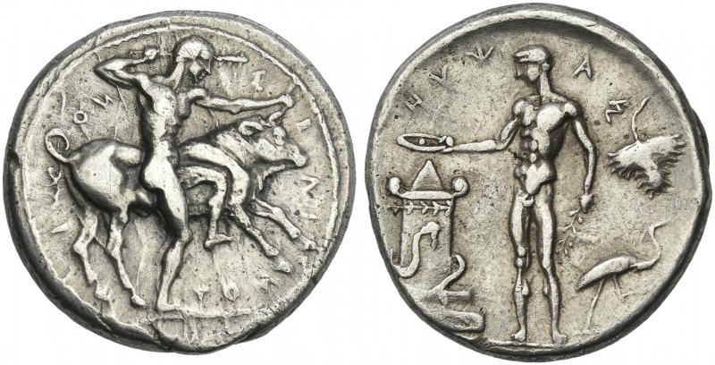 Sicily, Selinus.
Didrachm circa 440, AR 24 mm, 8.27 g. Σ-E-ΛI- NO-TI-ON Heracle...