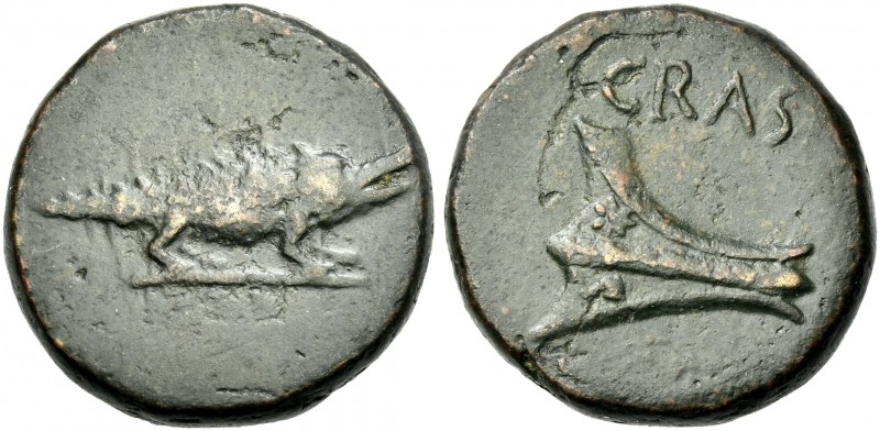 L. Licinius Crassus. Bronze, Crete circa 37-36, Æ 24 mm, 13.72 g. Crododile r. R...