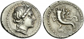 Q . Denarius, uncertain mint 81. Scarce.
Ex CNG 51, 2001, 948. From the A. Lynn collection.