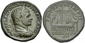 Caracalla augustus. Sestertius 213. Very rare.
Privately purchased in November 1971.