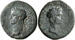 KINGS OF THRACE. Rhoemetalkes III, circa AD 38-46. Diassarion (Bronze, 23 mm, 8.06 g, 7 h), with Gaius (Caligula), 37-41. [ΓAIΩ KAIΣAPI] ΣEBAΣ[TΩ] Lau...