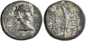 PHRYGIA. Hierapolis. Gaius Caesar, 20 BC-AD 4. Hemiassarion (Bronze, 16 mm, 4.00 g, 12 h), Papias Apellidou, magistrate, circa 5 BC. ΓAIOΣ Bare head o...