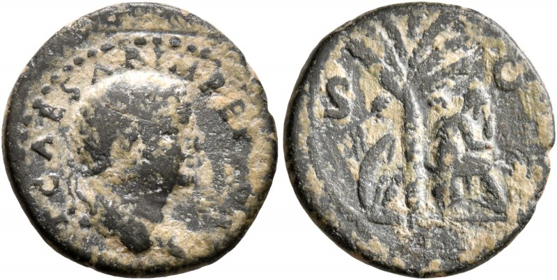 Titus, 79-81. Quadrans (Copper, 16 mm, 2.08 g, 7 h), Antiochia, 80-81. T CAESAR ...