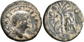 Titus, 79-81. Quadrans (Copper, 16 mm, 2.08 g, 7 h), Antiochia, 80-81. T CAESAR IMPEP PONT Laureate head of Titus to right. Rev. S - C Judaea seated t...