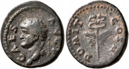 Domitian, as Caesar, 69-81. Quadrans (Copper, 16 mm, 2.88 g, 7 h), Rome mint, for Syria, 74. CAES AVG•F Laureate head of Domitian to left. Rev. DOMIT ...