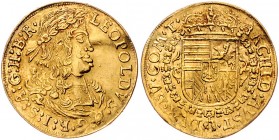 Leopold I. 1657 - 1705
 Dukat o.J. Hall. 3,50g, leicht gewellt. Her. 265. ss