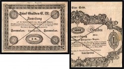 Formular 5 Gulden 1849. P. 109b II