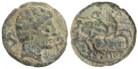 As. 120-20 a.C. DANUSIA (Botija, Cáceres). Anv.: Busto masculino a derecha, entre delfines. Rev.: Jinete con lanza a derecha, debajo leyenda ibérica b...