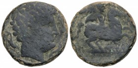 As. 220-200 a.C. ILTIRTA (Lleida). Anv.: Cabeza masculina a derecha, rodeada de tres delfines. Rev.: Jinete con palma y clamide, debajo leyenda ibéric...