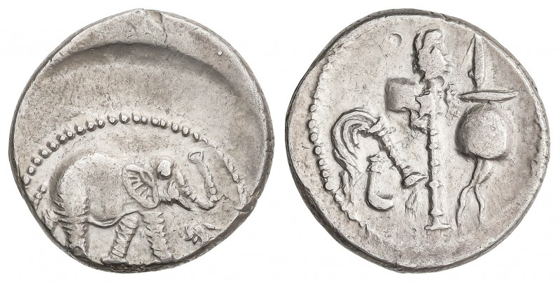 Denario. 59-44 a.C. JULIO CÉSAR. Anv.: Elefante a derecha, delante una serpiente...