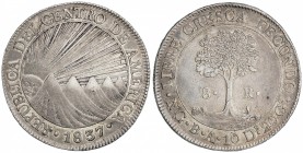 8 Reales. 1837. GUATEMALA. B.A. 26,76 grs. AR. Pátina y restos de brillo original. ESCASA. KM-4. EBC-.