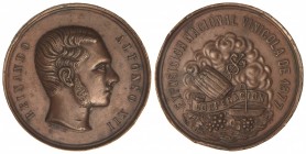 Exposición Vinícola. 1877. ALFONSO XII. Anv.: Busto del monarca a derecha. Rev.: Alegorías Vinícolas. Br. Ø 40 mm. Grabador: Cortes. (Golpes). (EBC)....