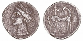 Hispano Cartaginesas, Acuñaciones 
Siclo. AR. (220-215 a.C.). A/Cabeza de Tanit a izq. R/Caballo parado a der., con la cabeza vuelta, detrás palmera....