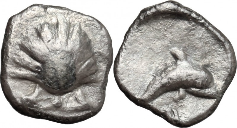 Greek Italy. Southern Apulia, Tarentum. AR Litra, 325-280 BC. D/ Shell. R/ Dolph...
