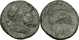 Greek Italy. Northern Lucania, Paestum. AE Quadrans, 218-201 BC. D/ Head of Poseidon right, diademed; behind, three pellets. R/ Dolphin right; above, ...
