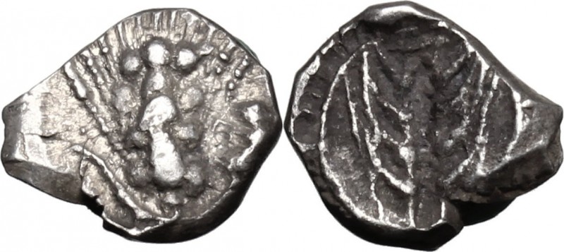 Greek Italy. Southern Lucania, Metapontum. AR Obol, 470-440 BC. D/ Ear of barley...