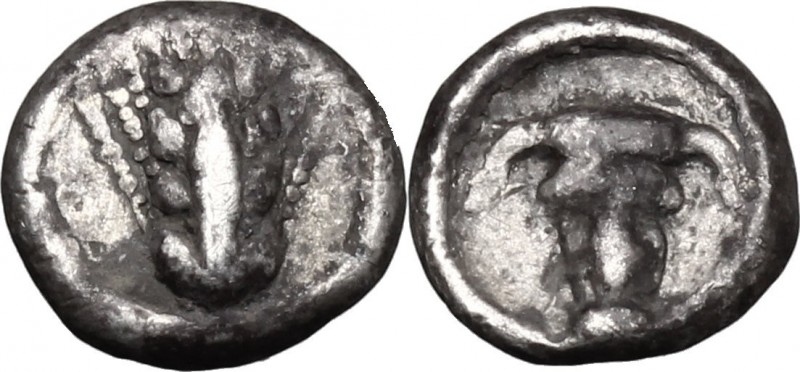 Greek Italy. Southern Lucania, Metapontum. AR Obol, 440-430 BC. D/ Ear of barely...