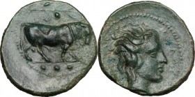 Sicily. Gela. AE Tetras, 420-405 BC. D/ Bull right; above, olive-branch with berries; in exergue, three pellets. R/ Head of river god right, horned. C...