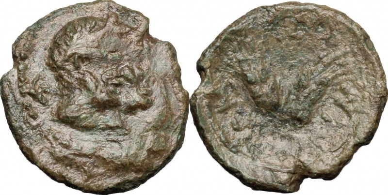 Sicily. Leontini. Roman Rule. AE 17mm, 3rd century BC. D/ Jugate heads of Apollo...