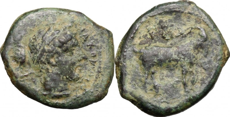 Sicily. Nakona. AE Onkia, before 400 BC. D/ Female head right. R/ Goat standing ...