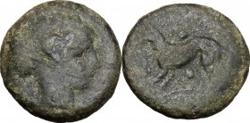 Sicily. Segesta. AE Hexas, 461-415 BC. D/ Head of nymph Segesta right, hair bound. R/ Hound standing left; above and below, pellet. CNS I, 42. AE. g. ...