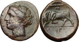 Sicily. Syracuse. Agathokles (317-289 BC). AE 20 mm. D/ Wreathed head of Kore left. R/ Bull butting left; club and M above; in exergue, IE. SNG ANS 58...