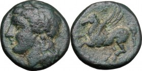 Sicily. Syracuse. Agathokles (317-289 BC). AE 15 mm, c. 310-305 BC. D/ Head of Apollo left, laureate. R/ Pegasus flying left. CNS II, 85. AE. g. 3.30 ...