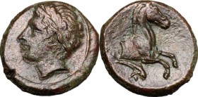 Sicily. Ziz. AE 14 mm, 336-330 BC. D/ Male head left, laureate. R/ Forepart of horse right. CNS I, 12. AE. g. 2.30 mm. 14.00 From masterly engraved di...