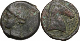 Punic Sardinia. AE 20 mm, 300-264 BC. D/ Head of Tanit left, wearing wreath. R/ Head of horse right; before, palm tree. SNG Cop. 175. AE. g. 5.30 mm. ...