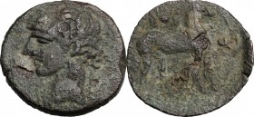 Punic Sardinia. AE Shekel , c. 241-221 BC. D/ Head of Tanit left, wearing wreath. R/ Horse standing right; solar disk between two snakes above; Punic ...