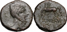 Greek Asia. Pontos, Amisos. Temp. of Mithradates VI Eupator (85-65 BC). AE 23 mm. D/ Helmeted head of Mithradates VI as the hero Perseus right. R/ Peg...