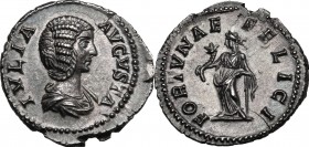 Julia Domna, wife of Septimius Severus (died 217 AD). AR Denarius, struck 207-211 AD. D/ Draped bust right. R/ Fortuna standing left, holding cornucop...