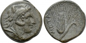 LUCANIA. Metapontion. Ae (Circa 300-250 BC).