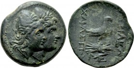 KINGS OF SKYTHIA. Charaspes (Circa 190-188 BC). Ae.