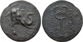 KINGS OF BAKTRIA. Demetrius I Aniketos (Circa 200-185 BC). Ae Trichalkon.