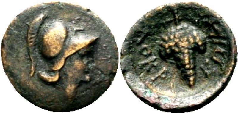 LOKRIS. 
LOKROI OPUNTIOI. AE-Dichalkon 14/15mm (338/300 v.Chr.) 1,56g. Athenako...