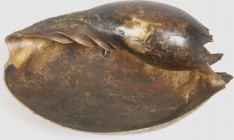 OZEANIEN. 
NEUGUINEA. Shell Headrest (Kopfkissen), Papua-Neuguinea, Melo Broderipii (Walzen- bzw. Melonenschnecke) zum Schutz der z. T. kunstvollen F...