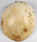 OZEANIEN. 
NEUGUINEA. "Pole" oder "Ka". Papua-Neuguinea, südliches Hochland, Südküste (Kubalia-Gebiet). Brustschmuck aus der Schale der großen Falten...