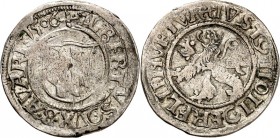 Bayern. 
Albrecht IV. 1465-1508. Halbbatzen 1506 Wappenschild / Löwe. Hahn&nbsp; 7. . 

ss