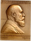 DEUTSCHE STÄDTE. 
SCHÜTZEN - EUROPA. 
ÖSTERREICH - WIEN. Eins. Plakette 1925 (v. Placht) a.d. Ehrenfestschießen. Brb. d. Bundespräsidenten Dr. Micha...