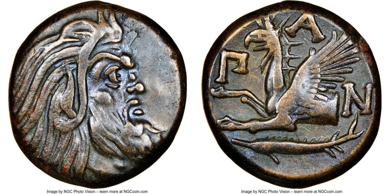 CIMMERIAN BOSPORUS. Panticapaeum. 4th century BC. AE (20mm, 12h). NGC Choice VF....