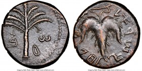 JUDAEA. Bar Kochba Revolt (AD 132-135). AE middle bronze (24mm, 12.29 gm, 6h). NGC XF 4/5 - 5/5. Year 2 (AD 133/4). Sma (abbreviating Simon in Paleo-H...