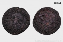Römische Kaiserzeit, Tiberius (14-37), Carthago Nova/Hispania, Bronzemünze (As), ca. 15-29. Vs. TI CAESAR DIVI AVGVSTI F AVGVSTVS P M, Porträtkopf des...