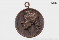 Umfangreiches Konv. von verschiedenen überwiegend großen Medaillen und Plaketten, darunter eine tragbare Medaille auf Schiller und eine große Plakette...