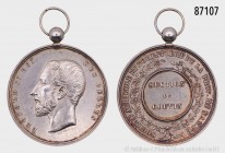 Belgien, Leopold II. (1865-1909), tragbare Preismedaille o. J. (ca. 1900) der Land- und Forstwirtschaftlichen Gesellschaft der Provinz Namur. 31,20 g;...