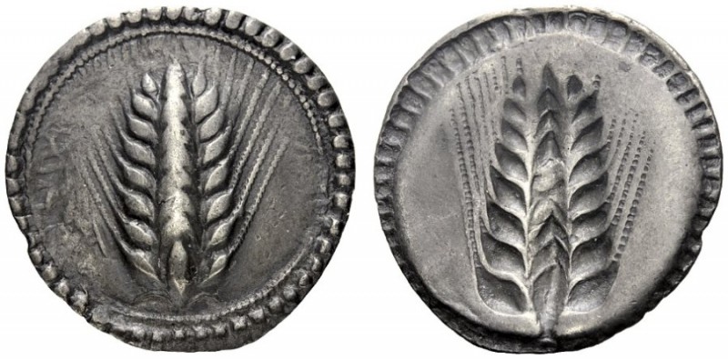  Greek Coins   Metapontum  Nomos circa 540-510, AR 7.97 g. Ear of barley. Rev. T...