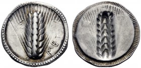  Greek Coins   Metapontum  Nomos circa 540-510, AR 8.05 g. Ear of barley. Rev. The same type incuse. Johnston-Noe 121. Historia Numorum Italy 1479.  L...