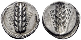  Greek Coins   Metapontum  Nomos circa 510-470, AR 7.83 g. Ear of barley. Rev. The same type incuse. Johnston-Noe 201. Historia Numorum Italy 1483.  L...